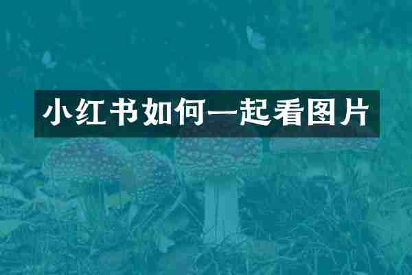 小红书如何一起看图片