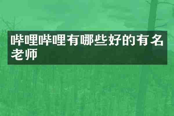 哔哩哔哩有哪些好的有名老师