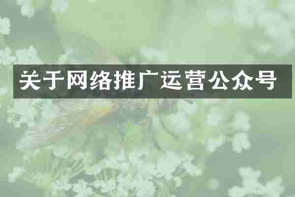 关于网络推广运营公众号