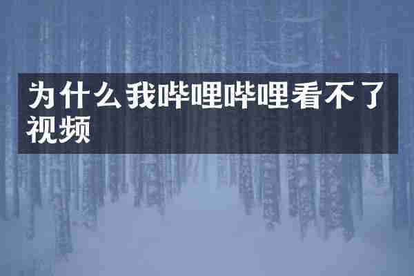 为什么我哔哩哔哩看不了视频