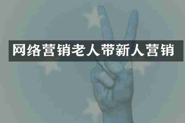 网络营销老人带新人营销
