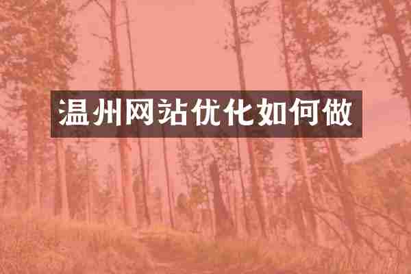 温州网站优化如何做