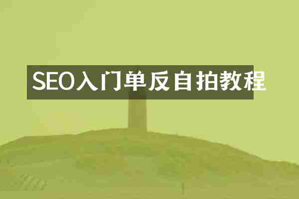 SEO入门单反自拍教程