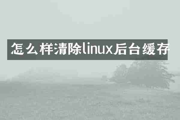 怎么样清除linux后台缓存