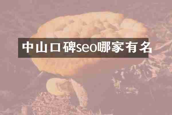 中山口碑seo哪家有名