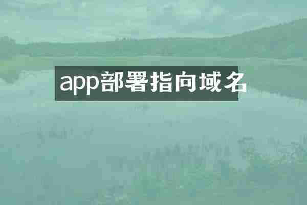 app部署指向域名