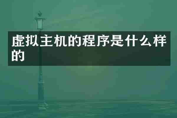 虚拟主机的程序是什么样的