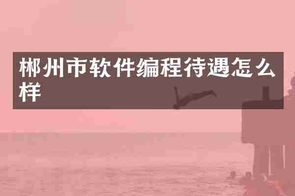 郴州市软件编程待遇怎么样