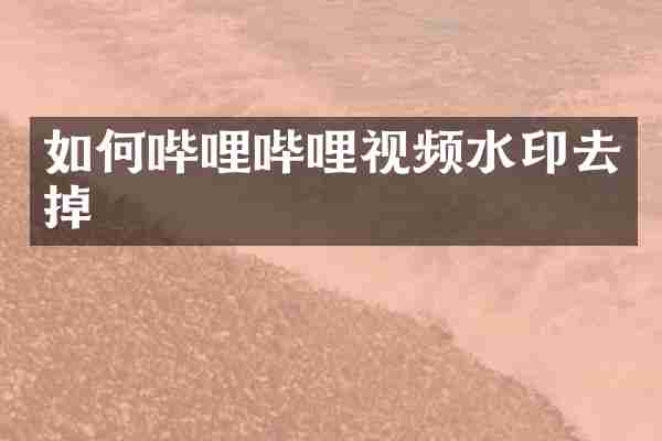 如何哔哩哔哩视频水印去掉