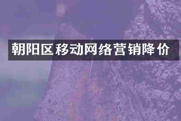 朝阳区移动网络营销降价
