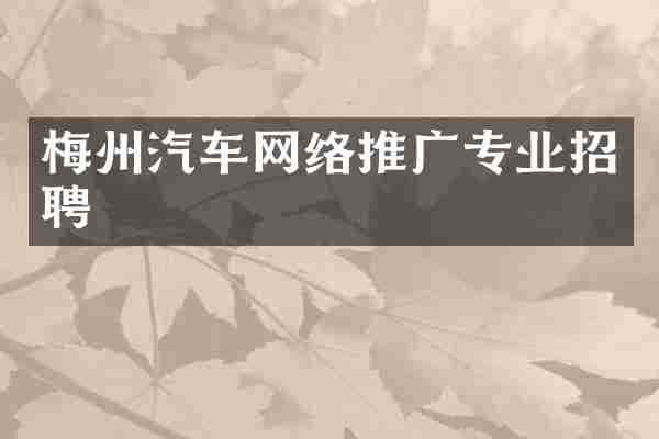 梅州汽车网络推广专业招聘