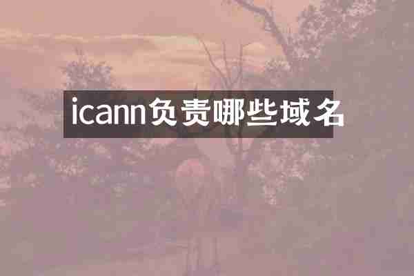 icann负责哪些域名