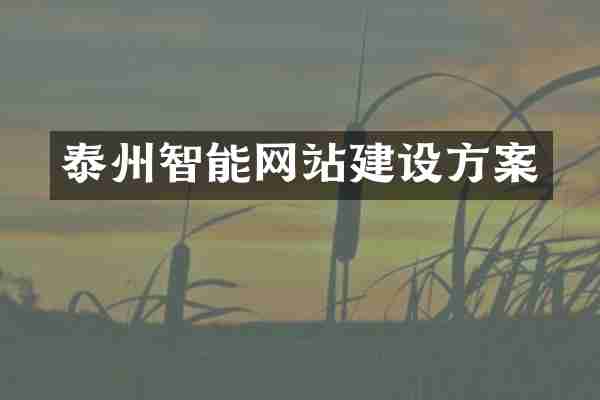 泰州智能网站建设方案