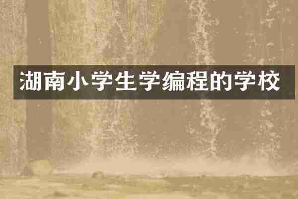 湖南小学生学编程的学校