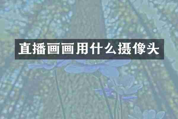 直播画画用什么摄像头