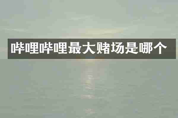 哔哩哔哩最大赌场是哪个