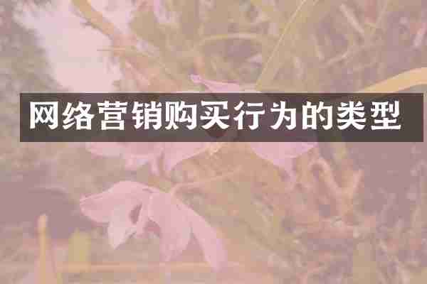 网络营销购买行为的类型