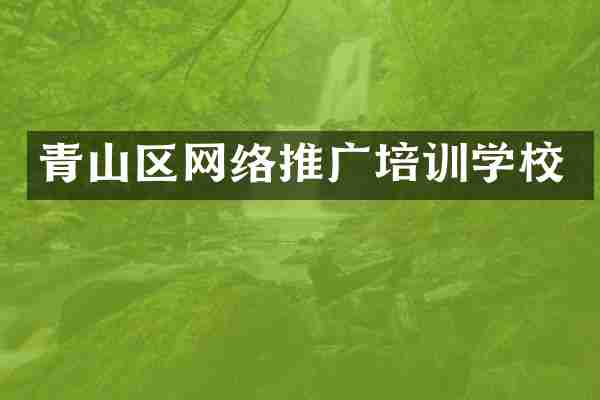 青山区网络推广培训学校