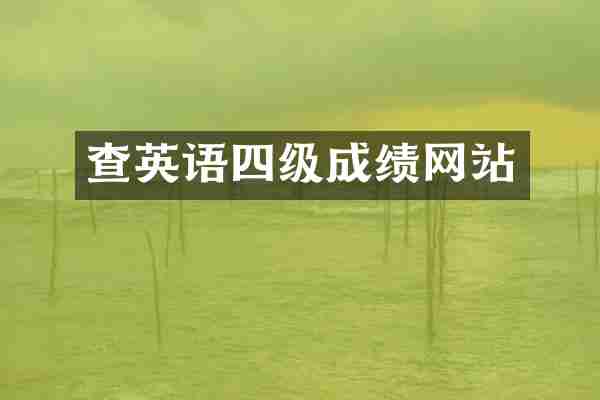 查英语四级成绩网站