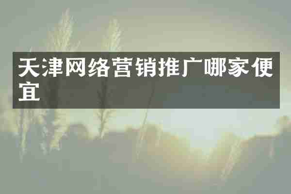 天津网络营销推广哪家便宜