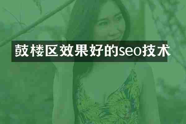 鼓楼区效果好的seo技术