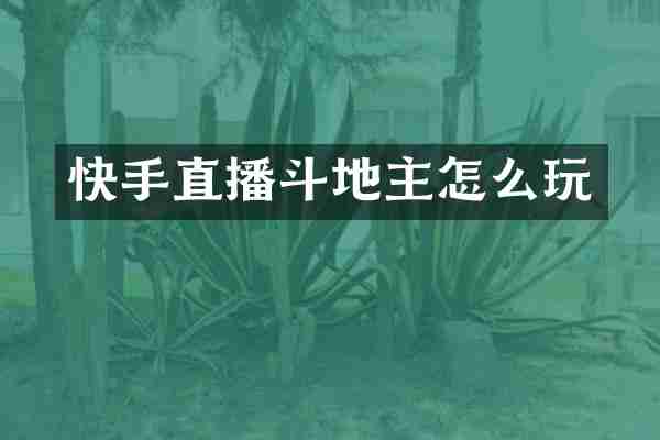 快手直播斗地主怎么玩