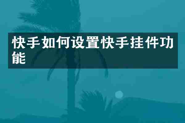 快手如何设置快手挂件功能