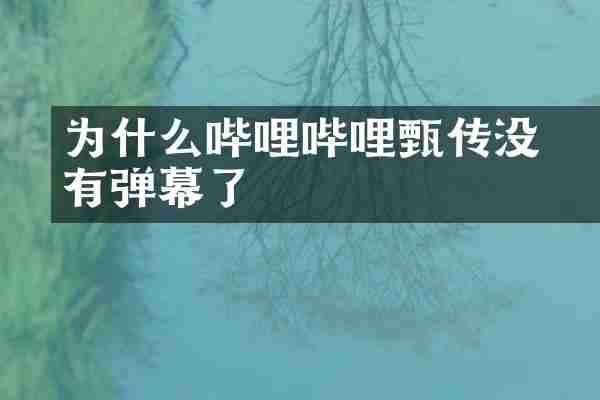 为什么哔哩哔哩甄嬛传没有弹幕了