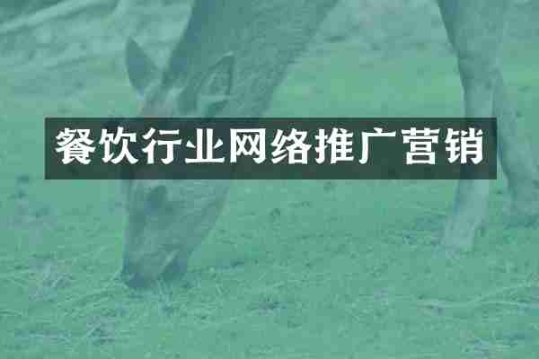 餐饮行业网络推广营销