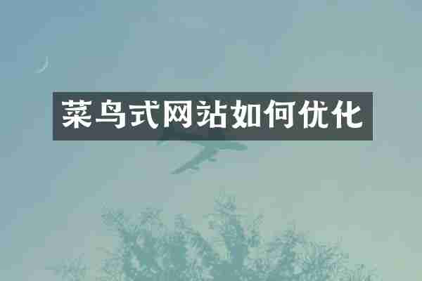 菜鸟式网站如何优化