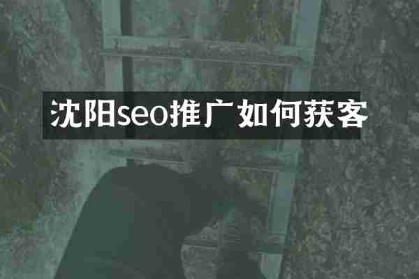 沈阳seo推广如何获客