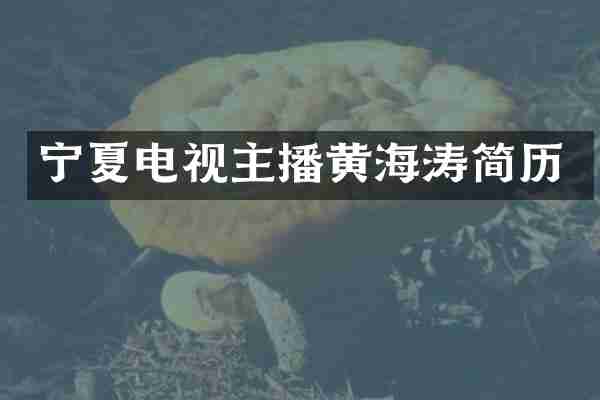宁夏电视主播黄海涛简历