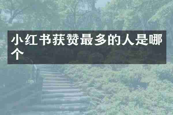 小红书获赞最多的人是哪个