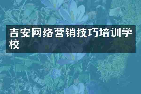 吉安网络营销技巧培训学校