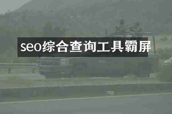 seo综合查询工具霸屏