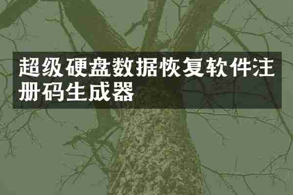 超级硬盘数据恢复软件注册码生成器