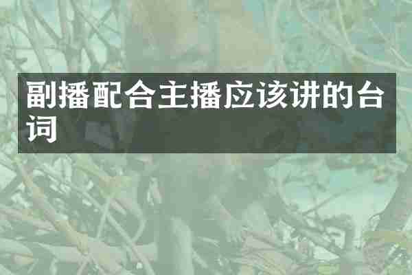副播配合主播应该讲的台词