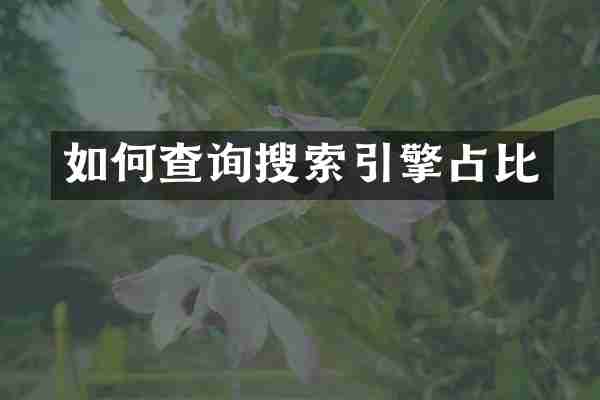 如何查询搜索引擎占比