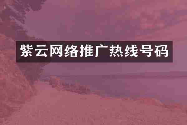 紫云网络推广热线号码