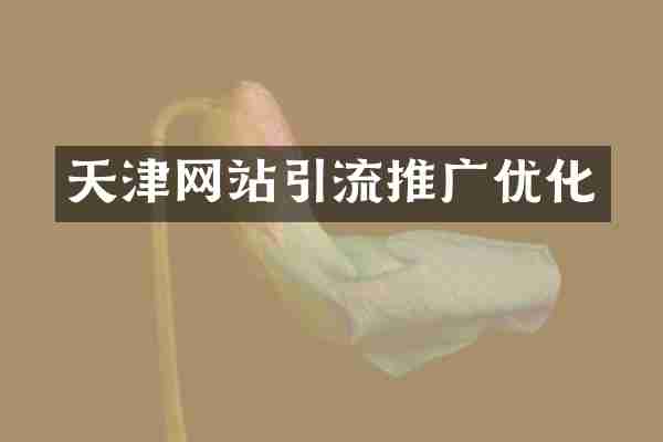天津网站引流推广优化