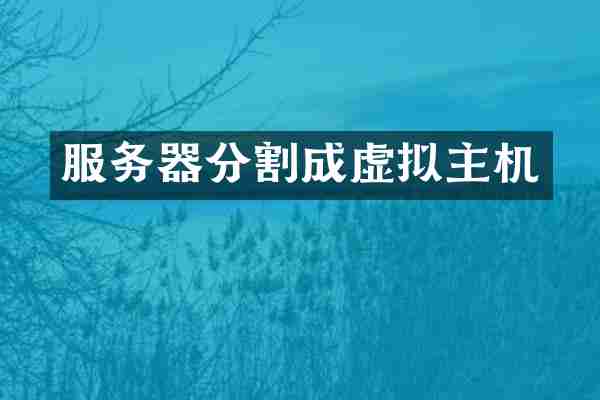 服务器分割成虚拟主机