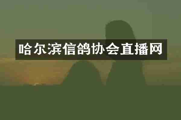 哈尔滨信鸽协会直播网