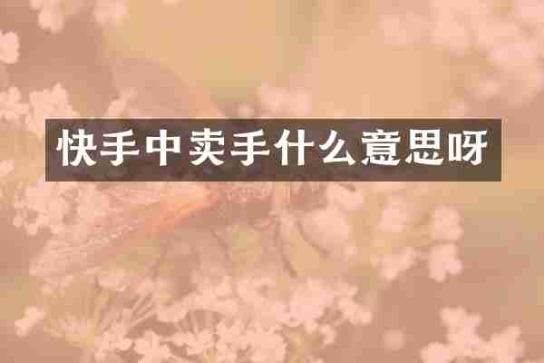 快手中卖手什么意思呀