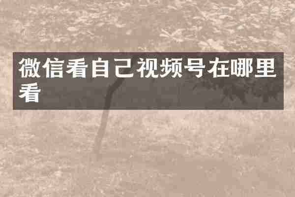 微信看自己视频号在哪里看