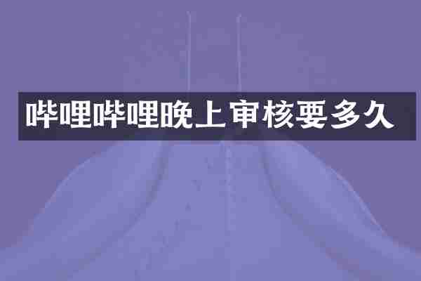 哔哩哔哩晚上审核要多久