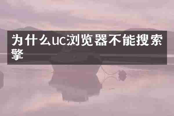 为什么uc浏览器不能搜索引擎