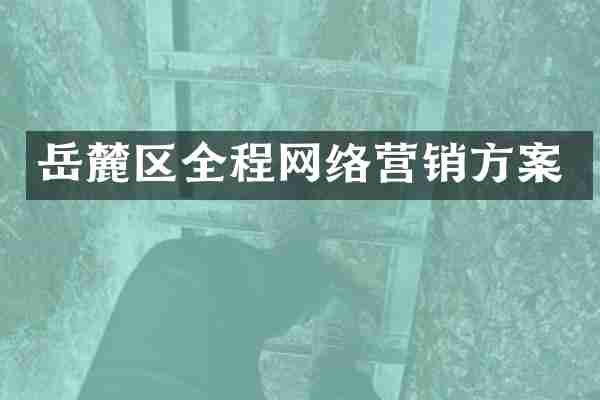 岳麓区全程网络营销方案