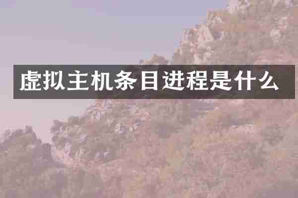 虚拟主机条目进程是什么