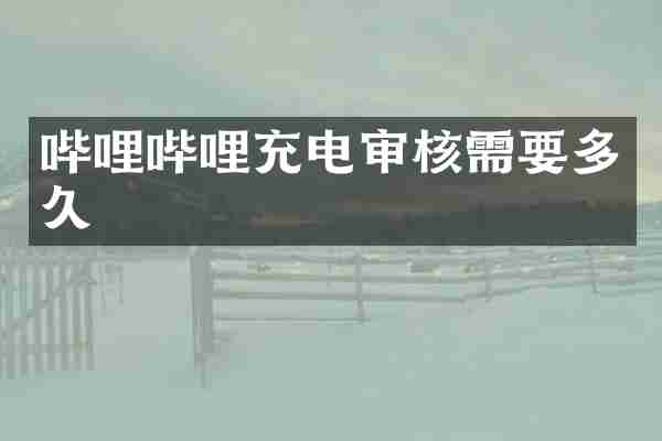 哔哩哔哩充电审核需要多久