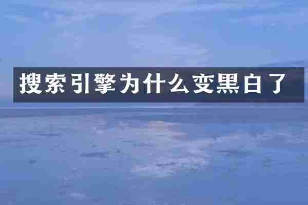搜索引擎为什么变黑白了